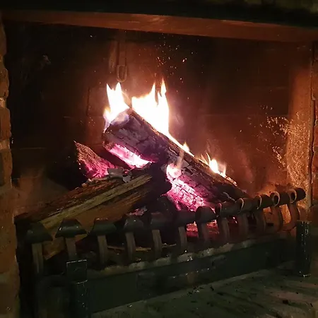 Waldhotel