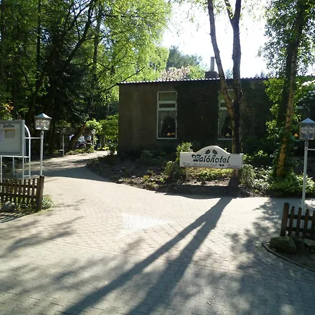 Szálloda Waldhotel 3*
