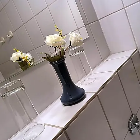 Waldhotel 호텔 3*