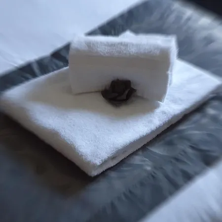 Waldhotel فندق 3*